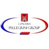 PELLEGRINI GROUP S.R.L.